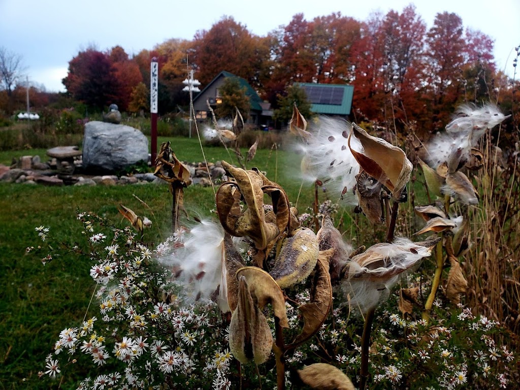 Greystone Nature Preserve | 8531 Bear Lake Rd, Fredonia, NY 14063, USA | Phone: (716) 679-6603