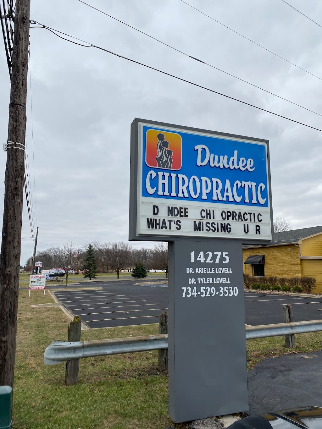 Dundee Chiropractic | 14275 S Custer Rd, Dundee, MI 48131, USA | Phone: (734) 529-3530