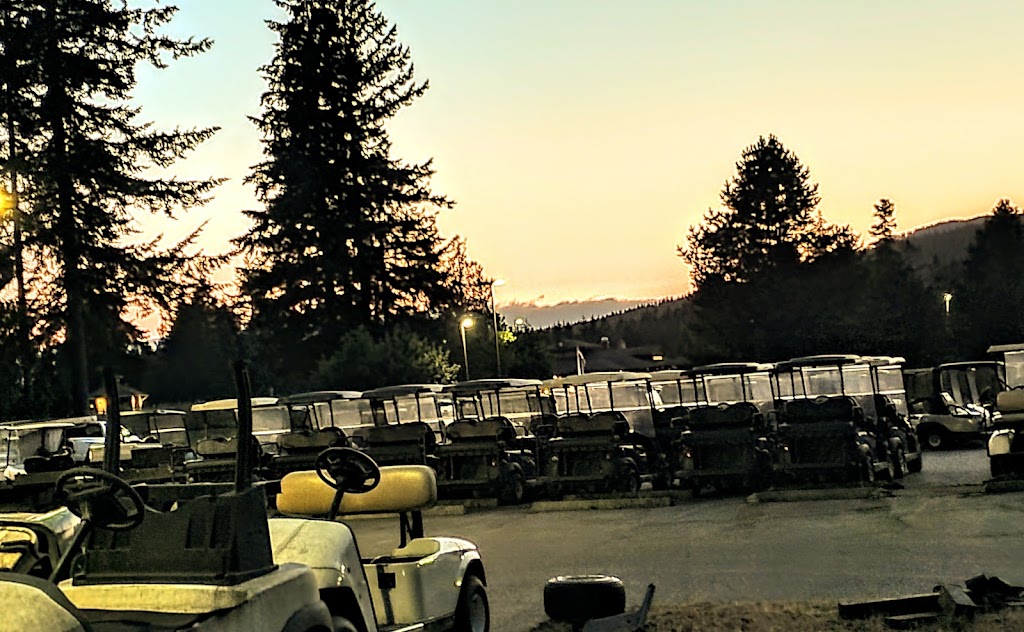 Alexanders Golf Carts | 7263 W Belfair Valley Rd, Bremerton, WA 98312, USA | Phone: (360) 979-9928