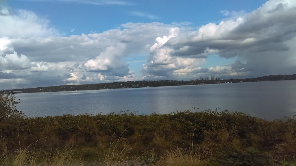 Madrona Park | 853 Lake Washington Blvd, Seattle, WA 98122, USA | Phone: (206) 684-4075