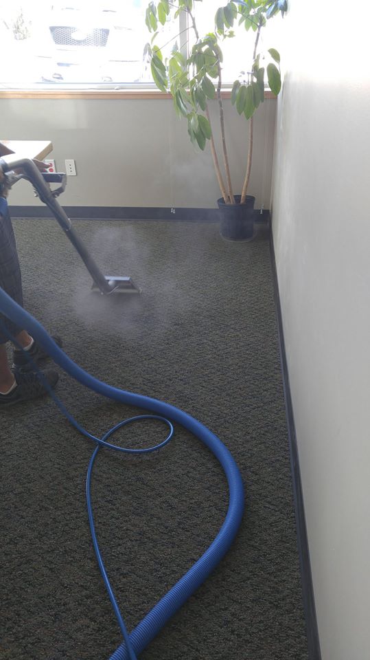 Steves Carpet Care | 7657 W 111th Ave, Westminster, CO 80021, USA | Phone: (303) 530-4900