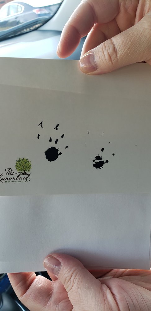 Pets Remembered Cremation Service | 15 2nd Ave SE, St Paul, MN 55112, USA | Phone: (651) 633-4564