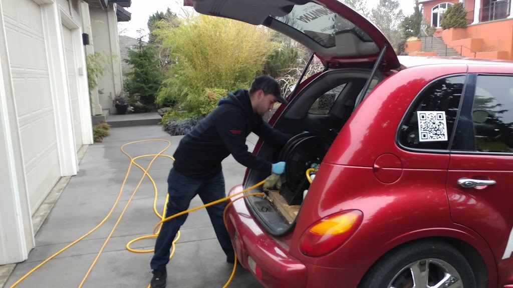 Antworks Pest Control | 11124 NE Halsey St #400, Portland, OR 97220, USA | Phone: (855) 268-9675