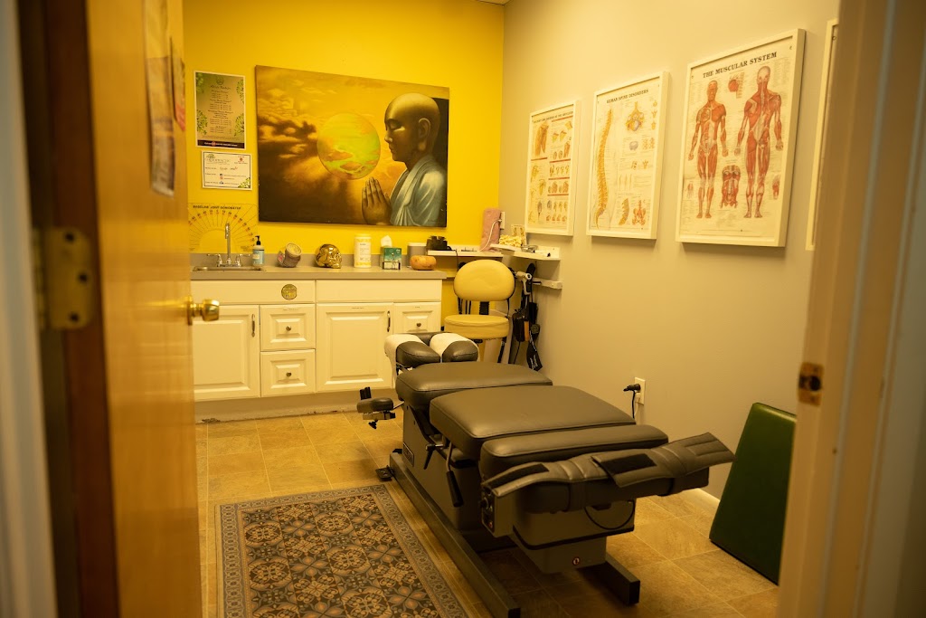 Chiropractic & Holistic Center of Tampa | 6610 E Fowler Ave D, Temple Terrace, FL 33617, USA | Phone: (813) 701-7272