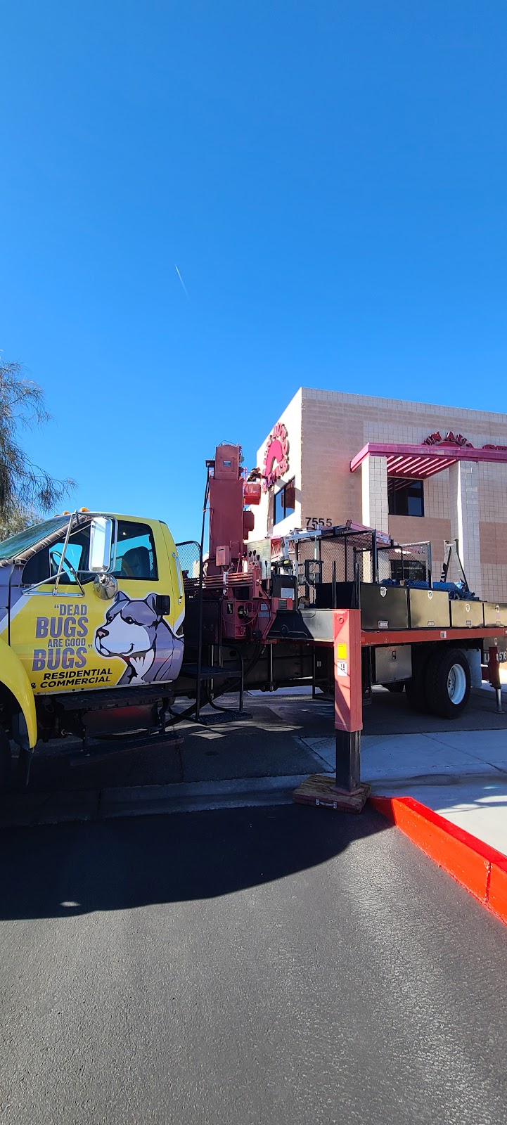 Pitbull Pest Control | 1208 S Eastern Ave, Las Vegas, NV 89104, USA | Phone: (702) 400-1946