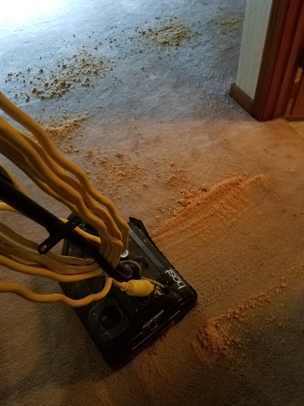Marlenes Green Carpet Cleaning | 436 Salem St, Bradford, MA 01835, USA | Phone: (978) 994-4315