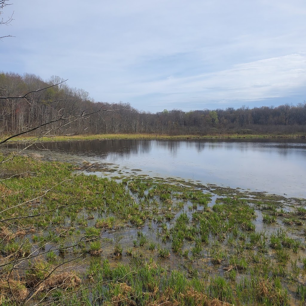 Eagle Creek Nature Preserve | 11027 Hopkins Rd, Garrettsville, OH 44231, USA | Phone: (330) 527-5118