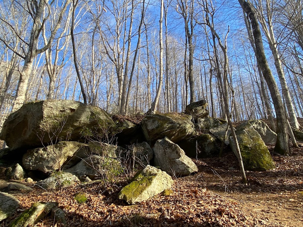 Deshazo Mill Access, Mayo River State Park | 113 Deshazo Rd, Stoneville, NC 27048, USA | Phone: (336) 427-2530