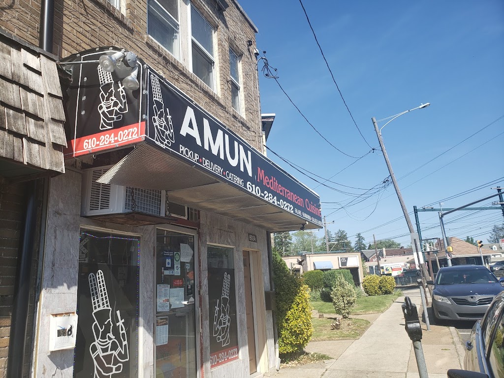 Amun Restaurant | 693 B Burmont Rd, Drexel Hill, PA 19026, USA | Phone: (610) 284-0272