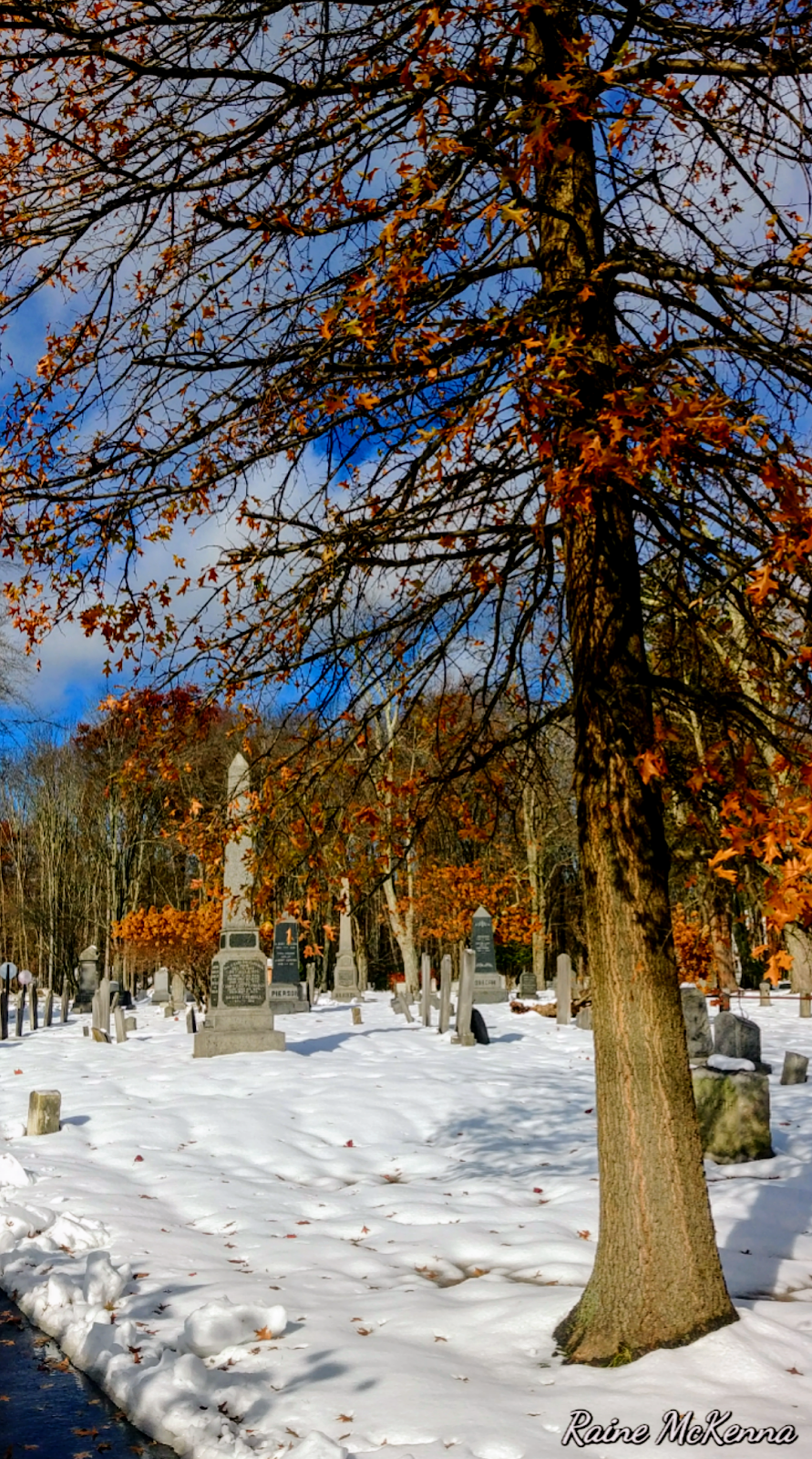 Presbyterian Church Cemetery | 1307 Springfield Ave, New Providence, NJ 07974, USA | Phone: (908) 665-0075