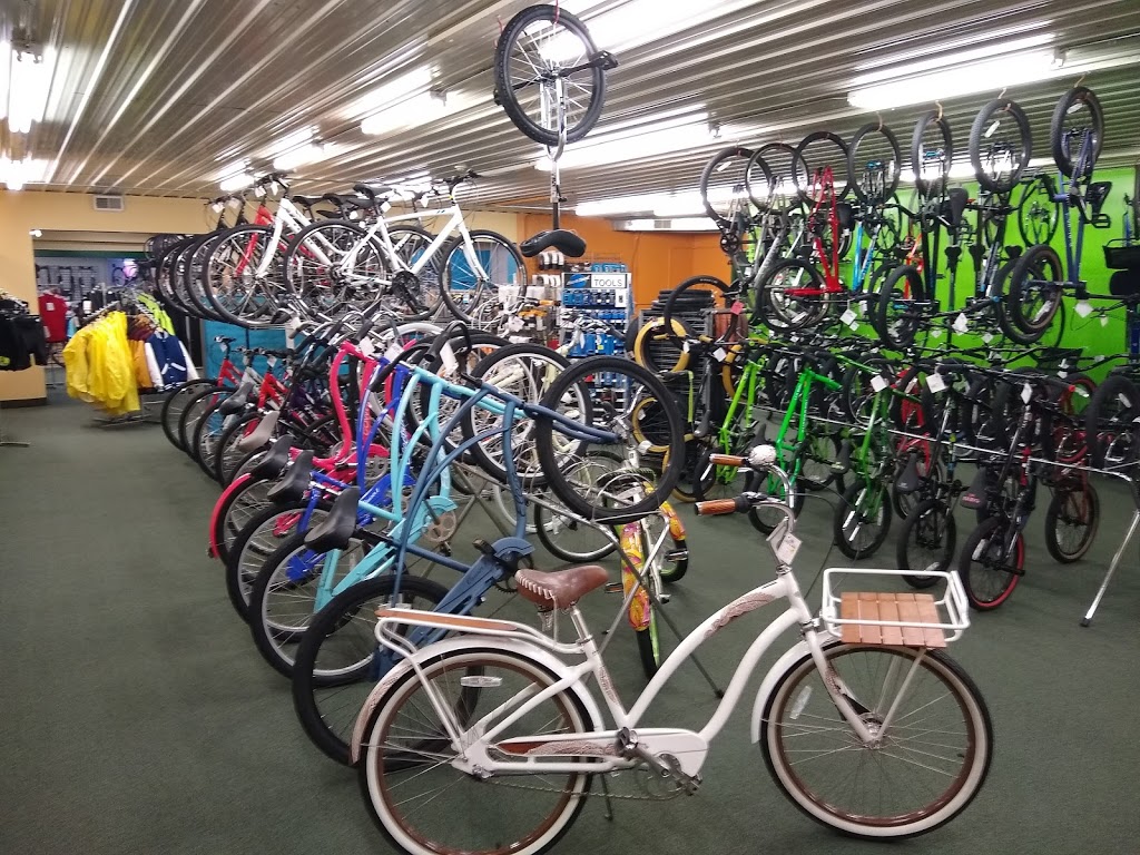 Forest Lake Cycle & Skate BIKE SHOP | 455 Lake St N, Forest Lake, MN 55025, USA | Phone: (651) 464-4035