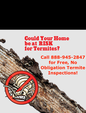 Mariners Pest Control | 20984 Bake Pkwy #102, Lake Forest, CA 92630 | Phone: (888) 945-2847