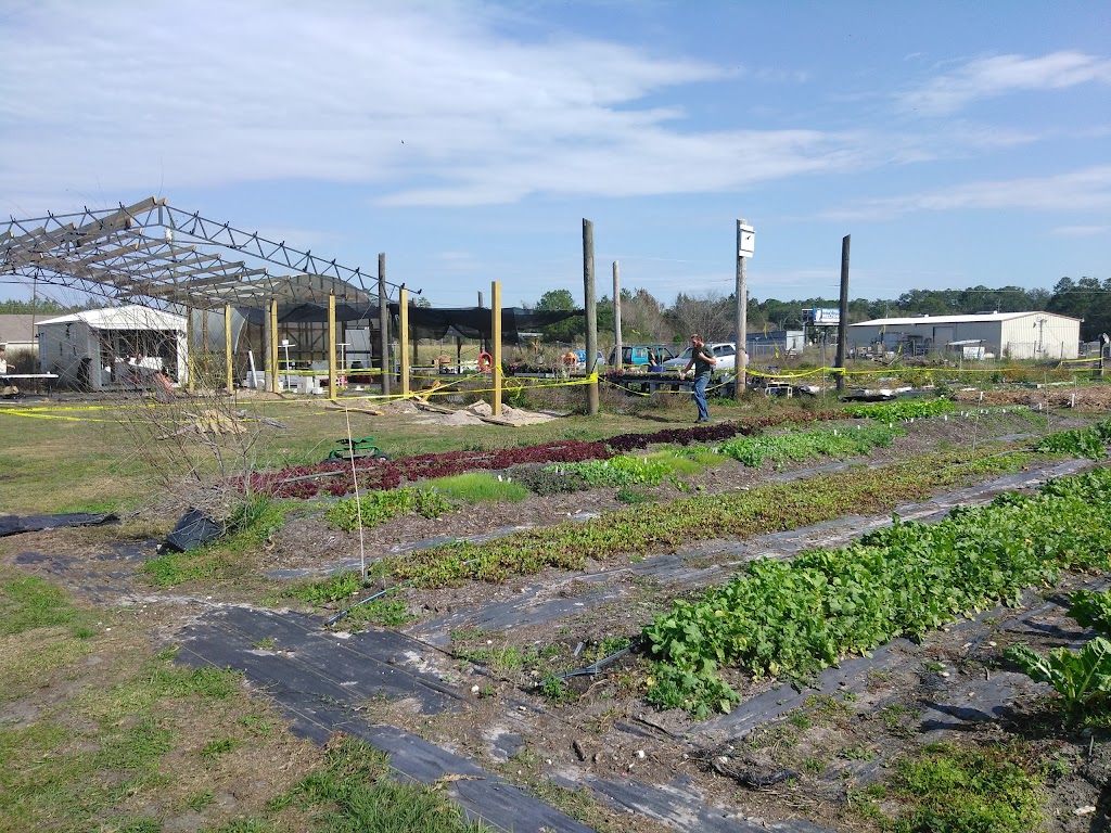 Auro Community Garden | 4095 Broad St, Brooksville, FL 34604, USA | Phone: (352) 238-9091