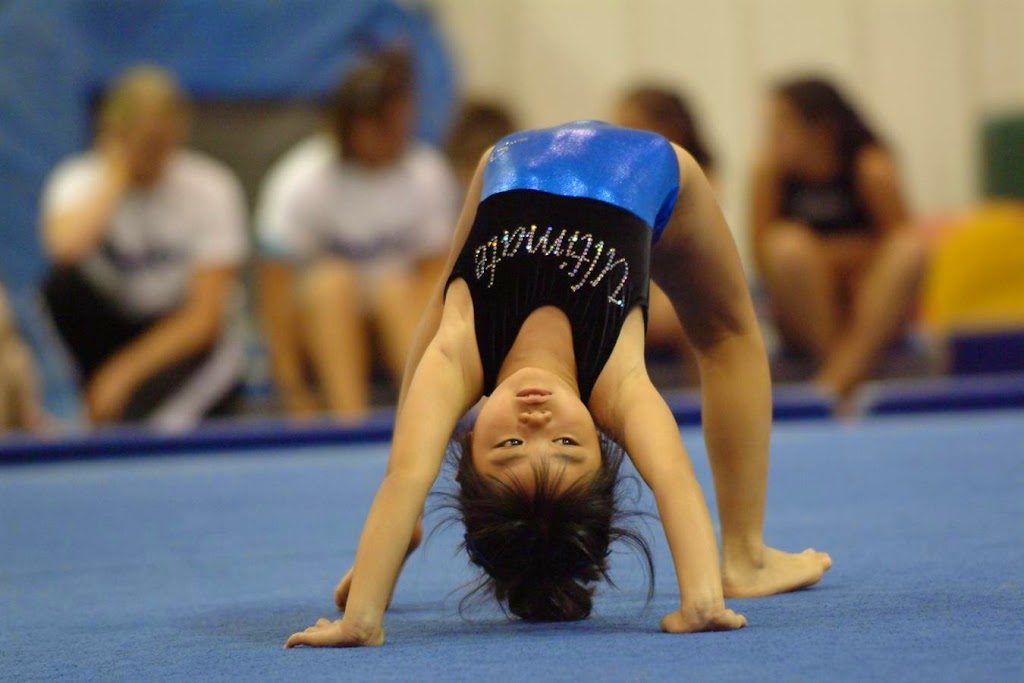 Ultimate Gymnastics | 3775 Peachtree Crest Dr, Duluth, GA 30097, USA | Phone: (770) 623-8212