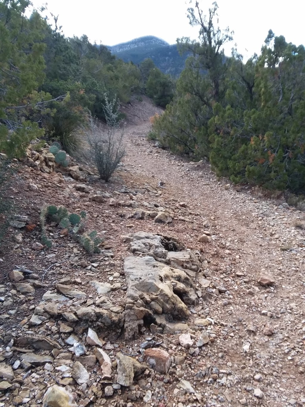 Agua Sarca Trailhead | Tunnel Springs Rd, Placitas, NM 87043 | Phone: (505) 346-3900