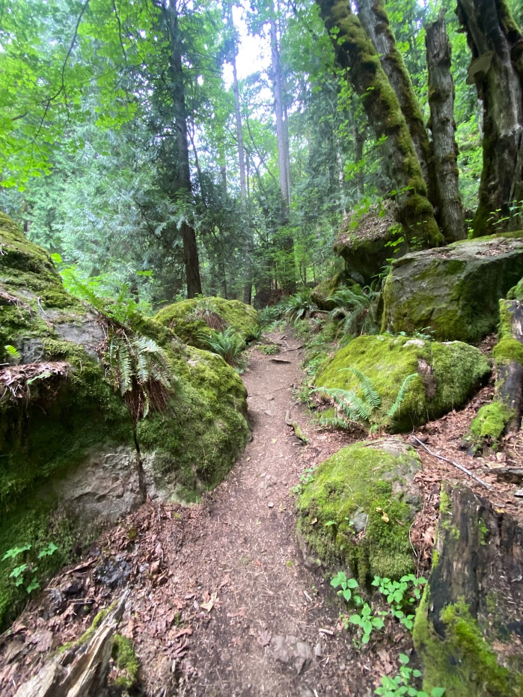 Jim Whittaker Wilderness Peak Trailhead | Renton Issaquah Rd SE, Renton, WA 98059, USA | Phone: (360) 891-5000