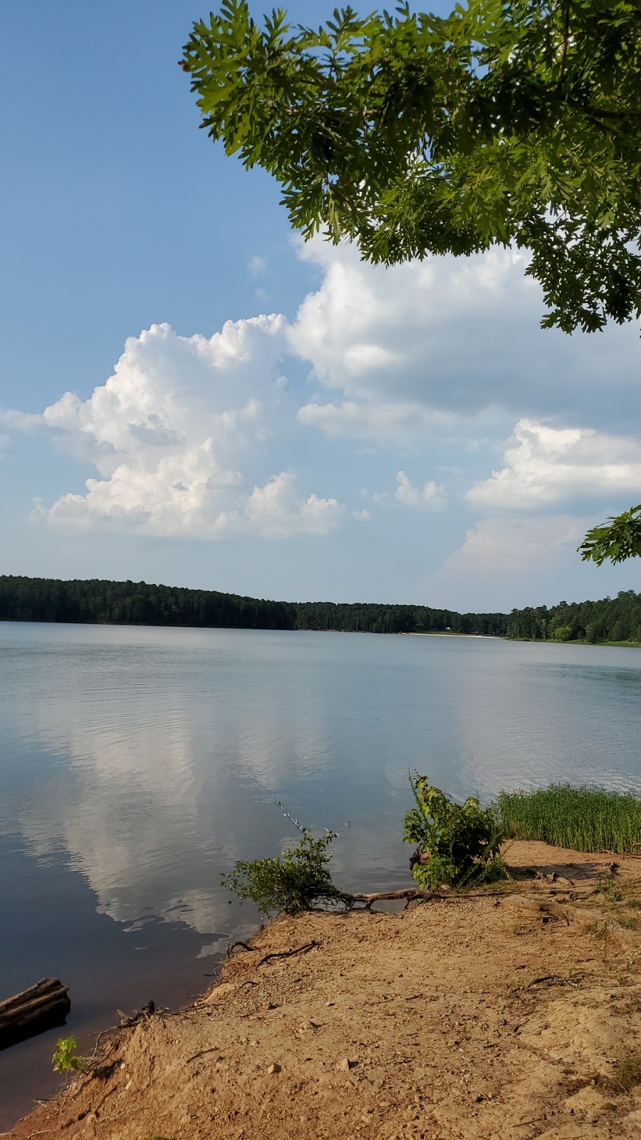 Falls Lake Park | 13304 Creedmoor Rd, Wake Forest, NC 27587, USA | Phone: (919) 676-1027