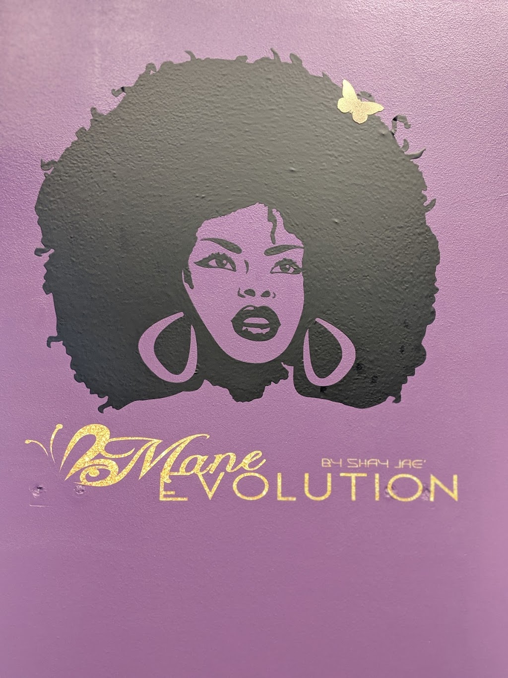 Mane Evolution by Shay Jae | 4140 Lemmon Ave #20, Dallas, TX 75219, USA | Phone: (214) 298-4030