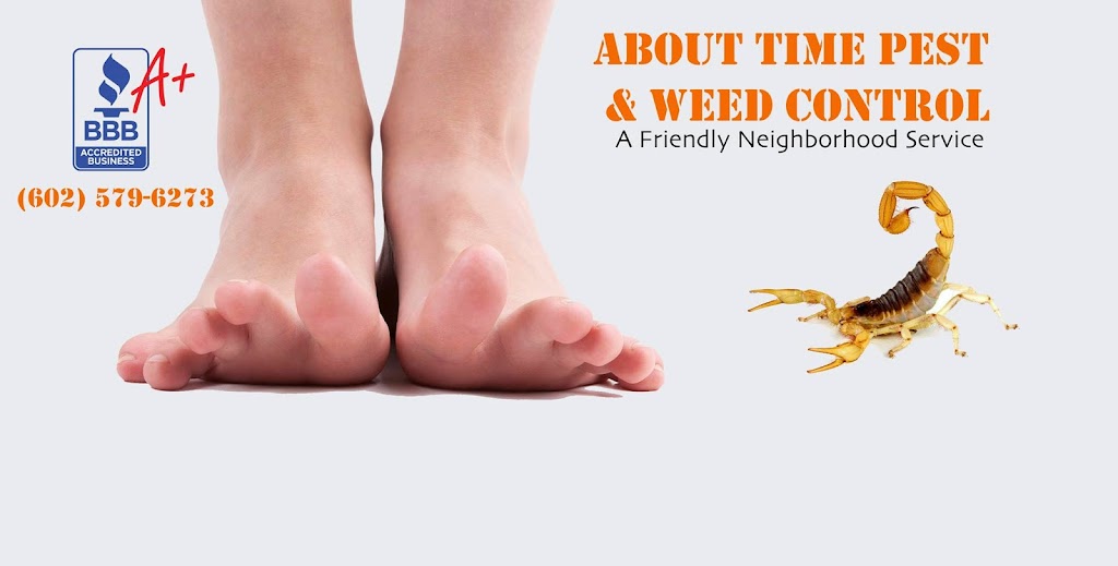 About Time Pest & Weed Control | 28150 N Alma School Pkwy, Scottsdale, AZ 85262, USA | Phone: (480) 273-3547