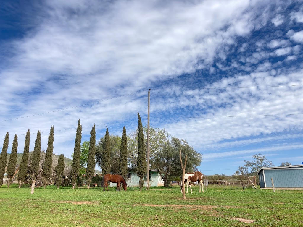 Iglesia La Vid Verdadera. Ej. Sta Rosa. | Quinta Veinte, Lázaro Cárdenas 8, 22762 Ejido Santa Rosa, B.C., Mexico | Phone: 646 111 9902