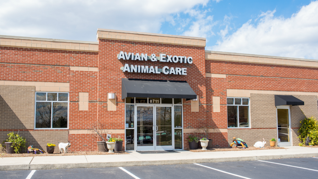 Avian and Exotic Animal Care | 8711 Fidelity Blvd, Raleigh, NC 27617, USA | Phone: (919) 844-9166