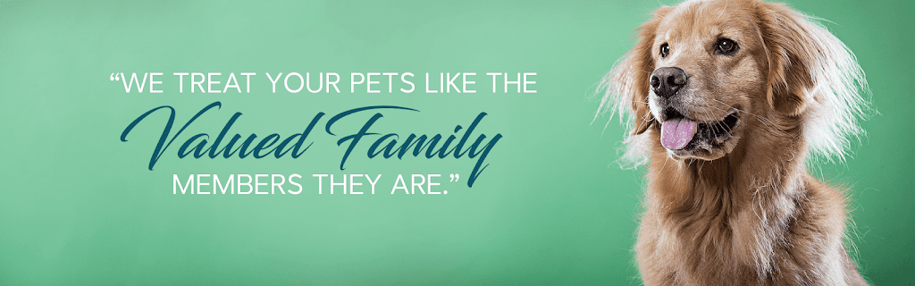 Eureka Animal Clinic | 11326 SW 184th St, Miami, FL 33157, USA | Phone: (305) 253-6754