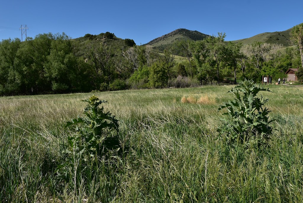 Matthews / Winters Park Trailhead | Unnamed Road, Golden, CO 80401, USA | Phone: (303) 271-5925