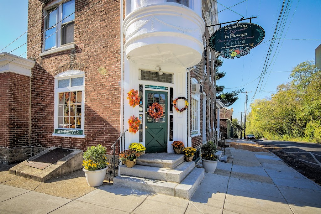 Something Different In Flowers | 399 Leverington Ave, Philadelphia, PA 19128, USA | Phone: (215) 483-1207