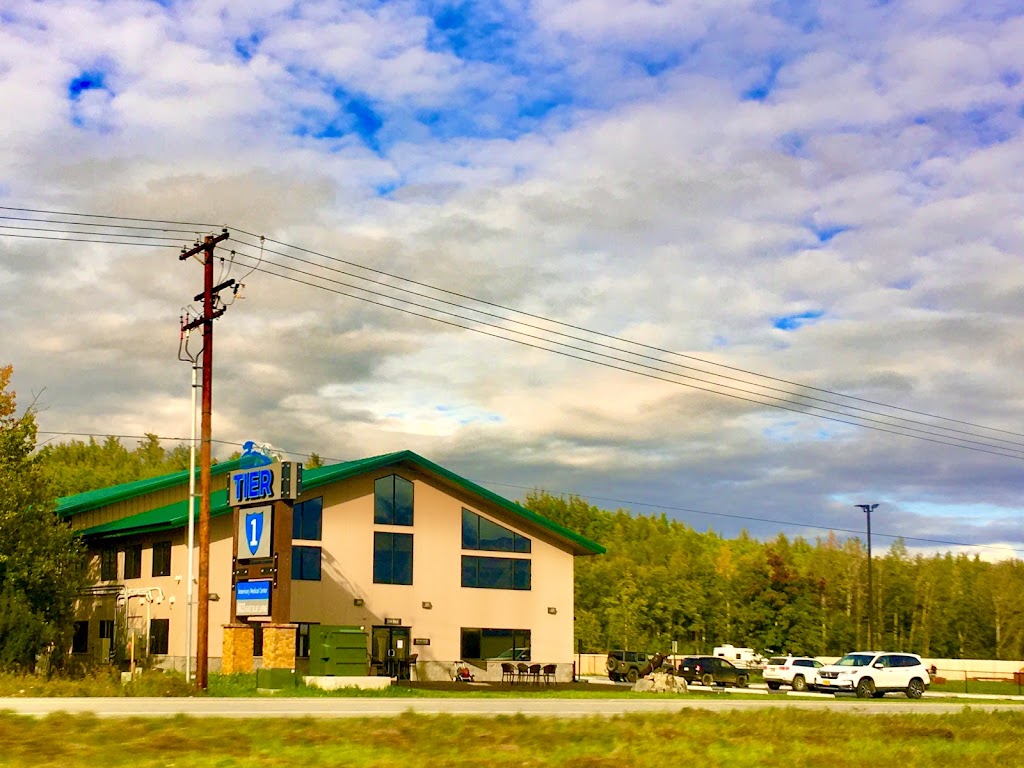 Tier 1 Veterinary Medical Center | 6623 E Blue Lupine Dr, Palmer, AK 99645, USA | Phone: (907) 745-8437