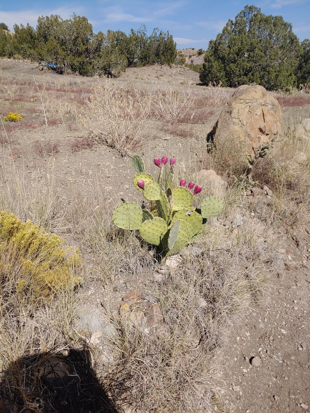 Cerrillos Hills State Park | Co Rd 59, Los Cerrillos, NM 87010, USA | Phone: (505) 474-0196