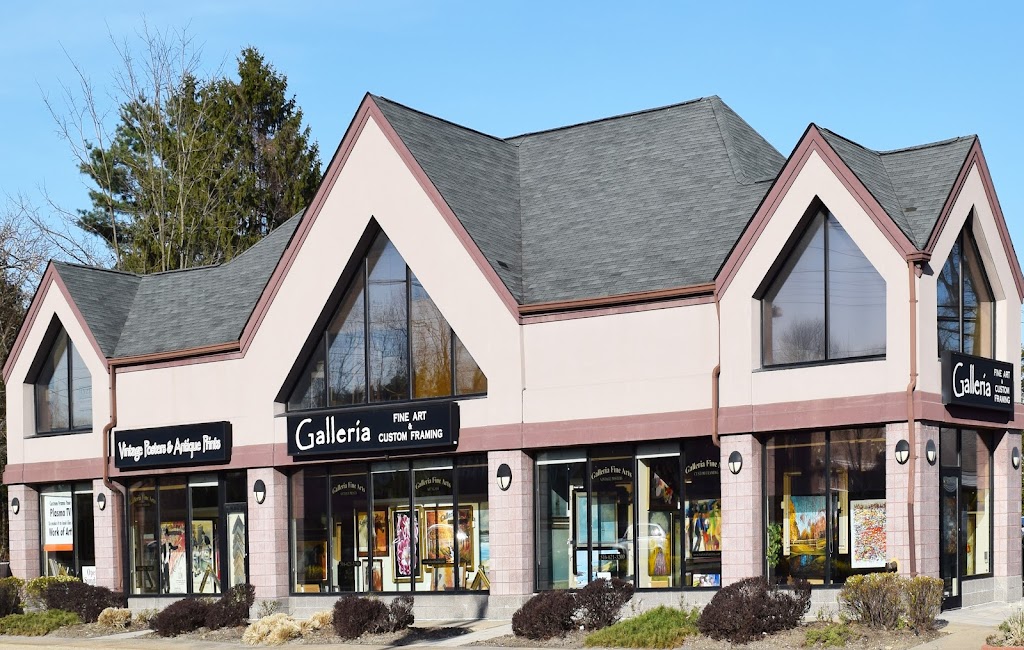 Galleria Fine Arts & Custom Framing | 66 Glen Cove Rd STE 1, Greenvale, NY 11548, USA | Phone: (516) 621-3200