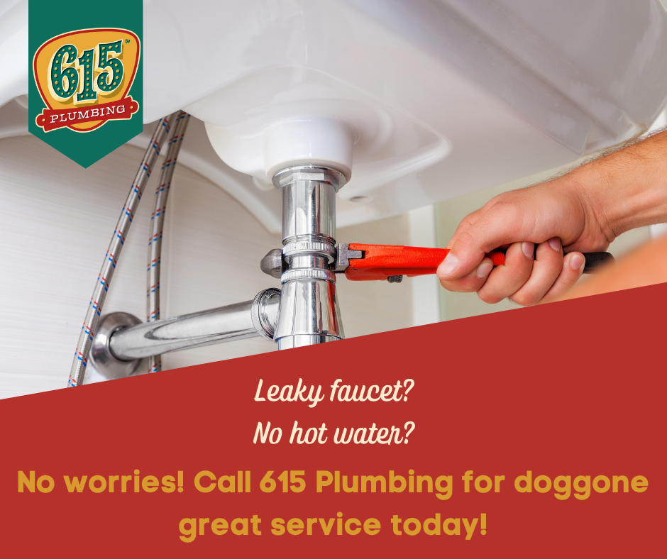 615 Plumbing | 10003 Nevada Ave, Smyrna, TN 37167, USA | Phone: (615) 488-2542