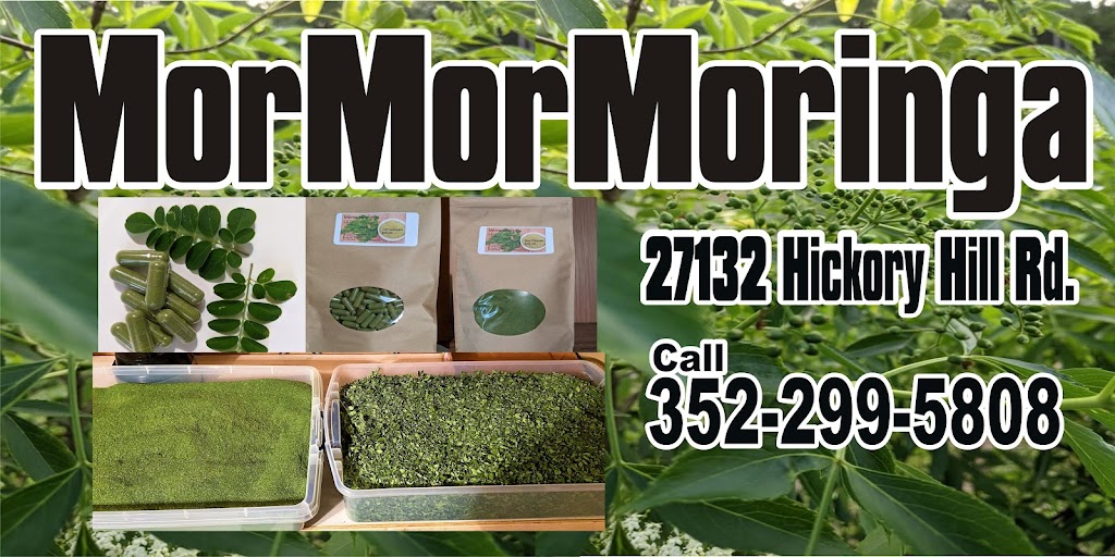 Mormormoringa LLC | 27132 Hickory Hill Rd, Brooksville, FL 34602, USA | Phone: (352) 299-5808