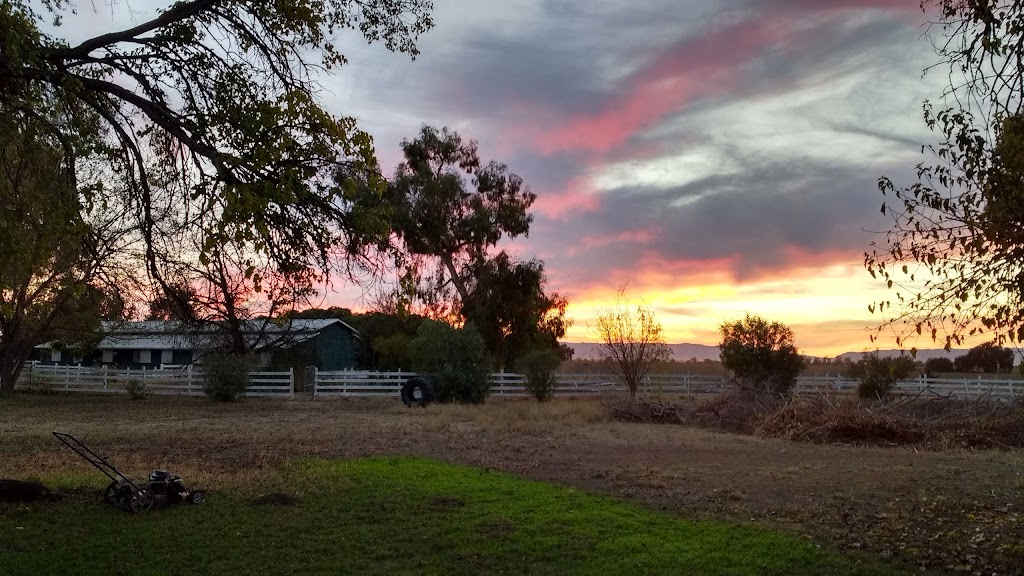 Putah Creek Riparian Reserve | Levee Rd & Brooks Rd, California 95616, Levee Rd, Davis, CA 95616, USA | Phone: (530) 752-0763