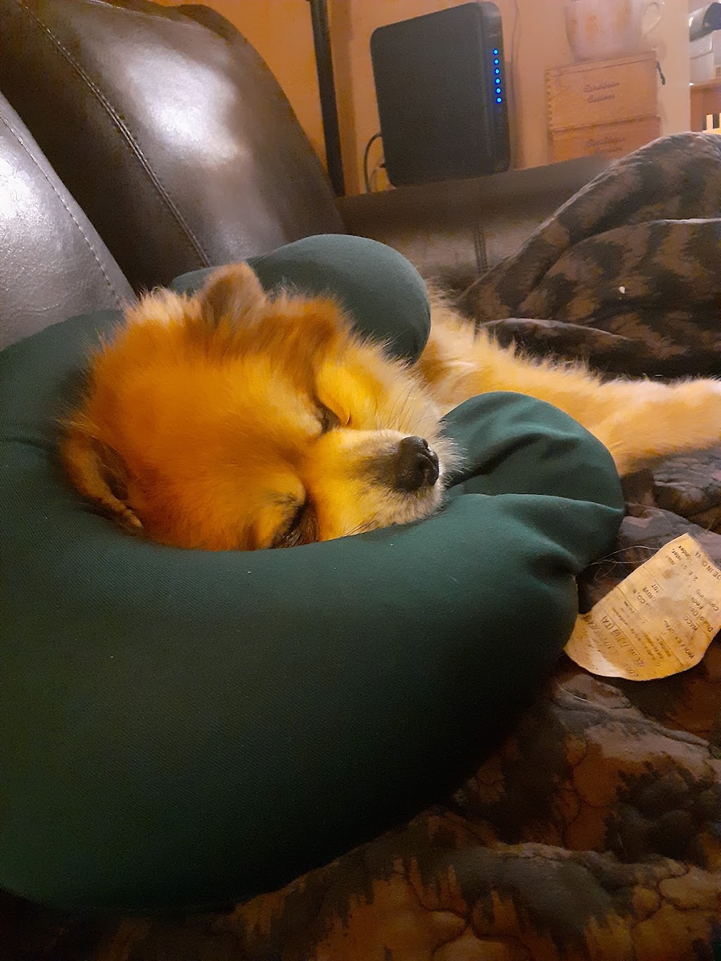 Murray Ridge Animal Clinic | 7855 Murray Ridge Rd, Elyria, OH 44035, USA | Phone: (440) 323-9568