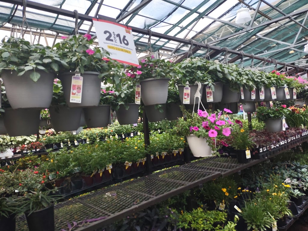 Lowes Garden Center | 6011 Lemmon Ave, Dallas, TX 75209, USA | Phone: (214) 259-0021