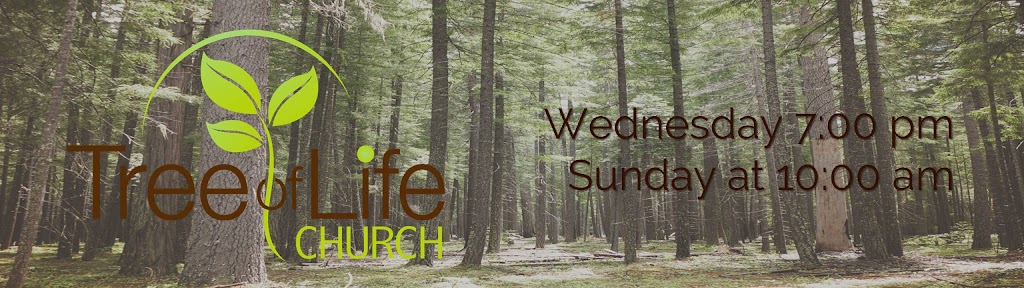 Tree of Life Church | 16108 Yellow Sage St, Pflugerville, TX 78660, USA | Phone: (512) 990-3444