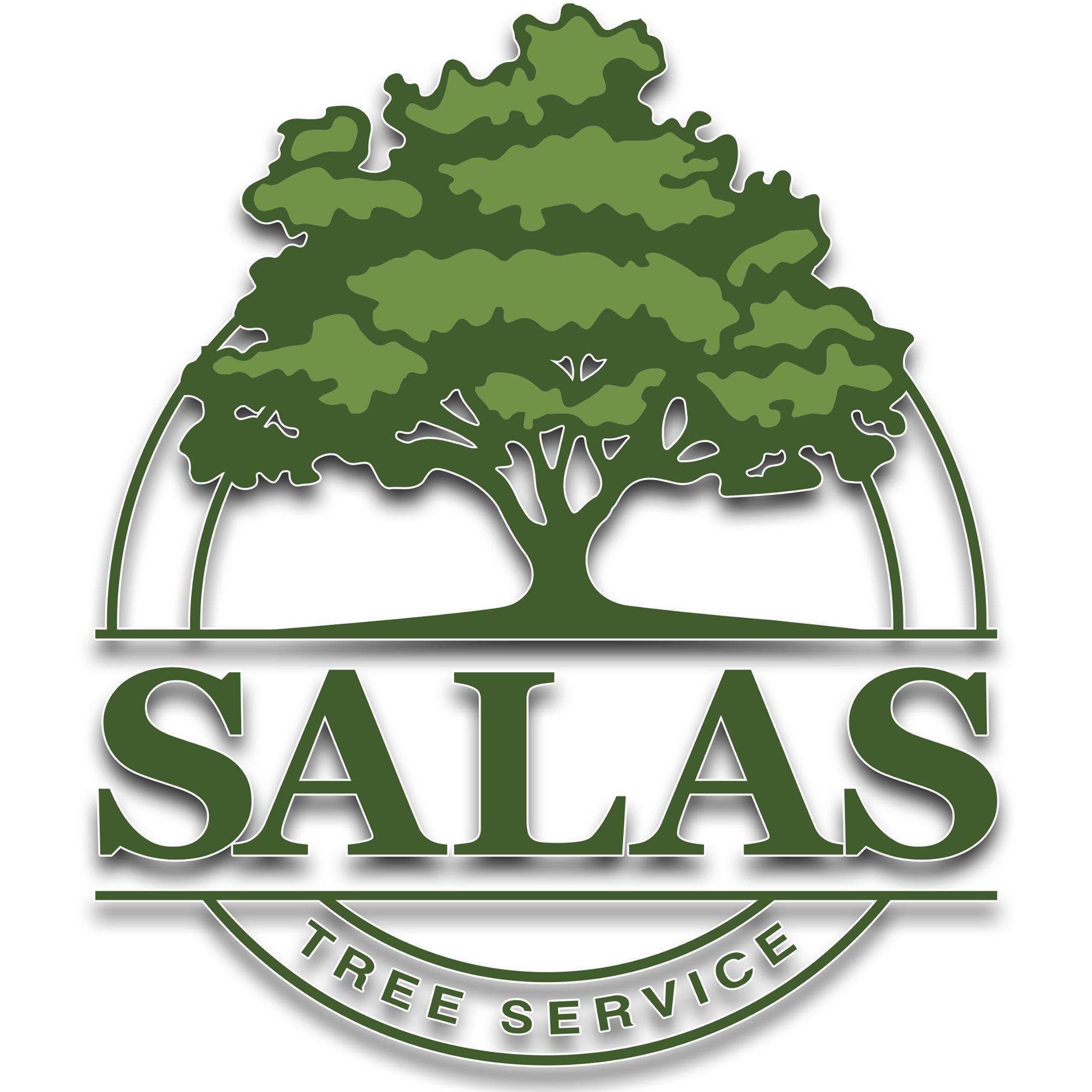 Salas Tree Service | 5812 NW 54th St, Oklahoma City, OK 73122, United States | Phone: (405) 205-9763