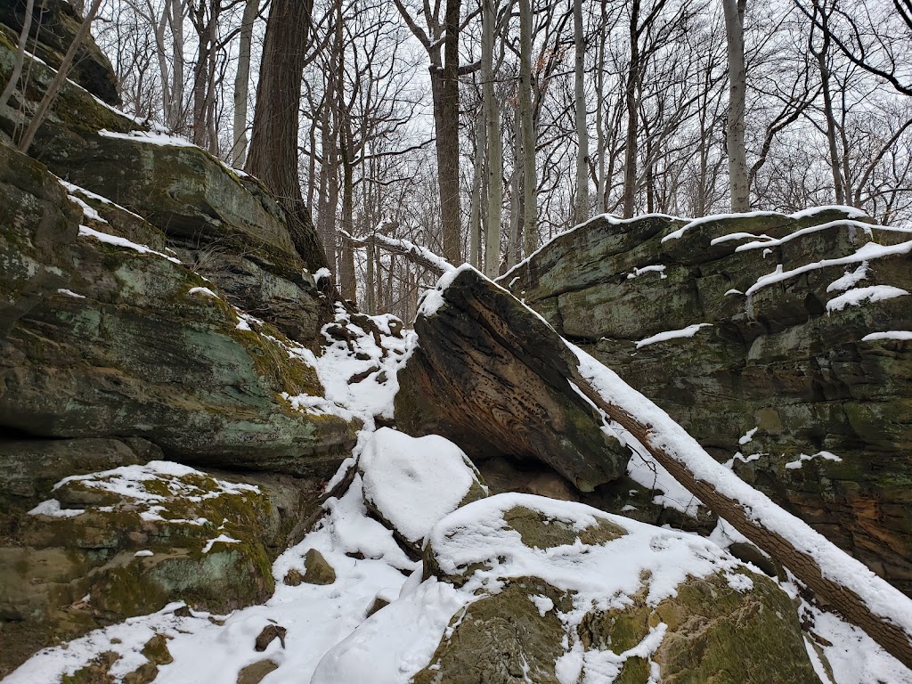 Whipps Ledges | Hinckley Lake Loop Trail, Hinckley, OH 44233, USA | Phone: (330) 278-2160