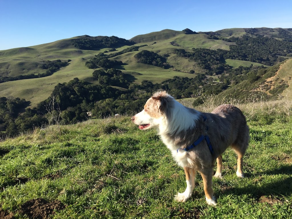 East Bay Regional Park District Main Office | 2950 Peralta Oaks Ct, Oakland, CA 94605, USA | Phone: (888) 327-2757