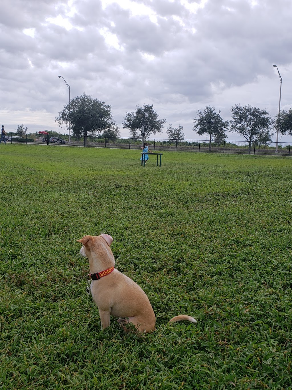 Dog Park | 11405 SW 157th Ave, Miami, FL 33196, USA | Phone: (305) 386-0227