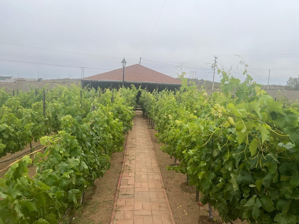 QUINTA LORAME | México 3 km. 88.3, 22753 Villa de Juárez, B.C., Mexico | Phone: 646 183 9809