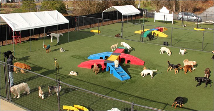 Purrn Pooch Pet Resort | 86 Gilbert St W, Tinton Falls, NJ 07724, USA | Phone: (732) 842-4949