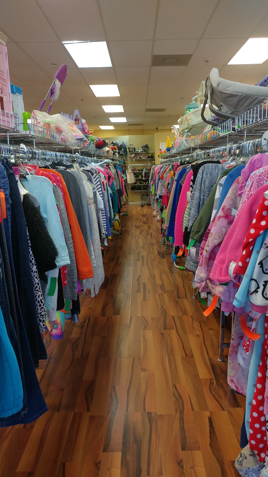 Carousel Kids | 16731 Fishhawk Blvd, Lithia, FL 33547, USA | Phone: (813) 571-8181