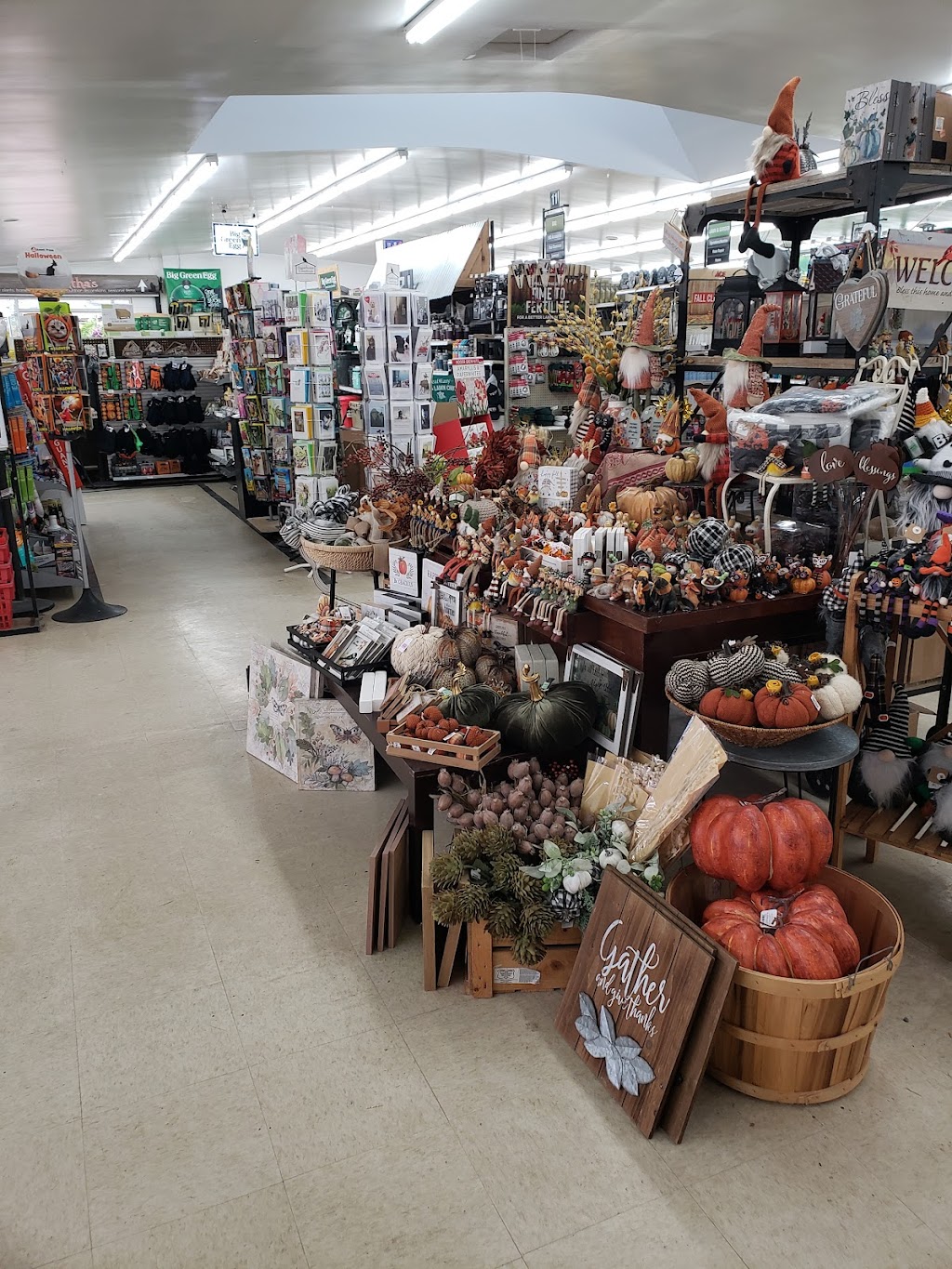 Robinson ACE Hardware & Garden Center | Robinson Hardware and Garden Center, 1900 New Scotland Rd, Slingerlands, NY 12159, USA | Phone: (518) 475-9483