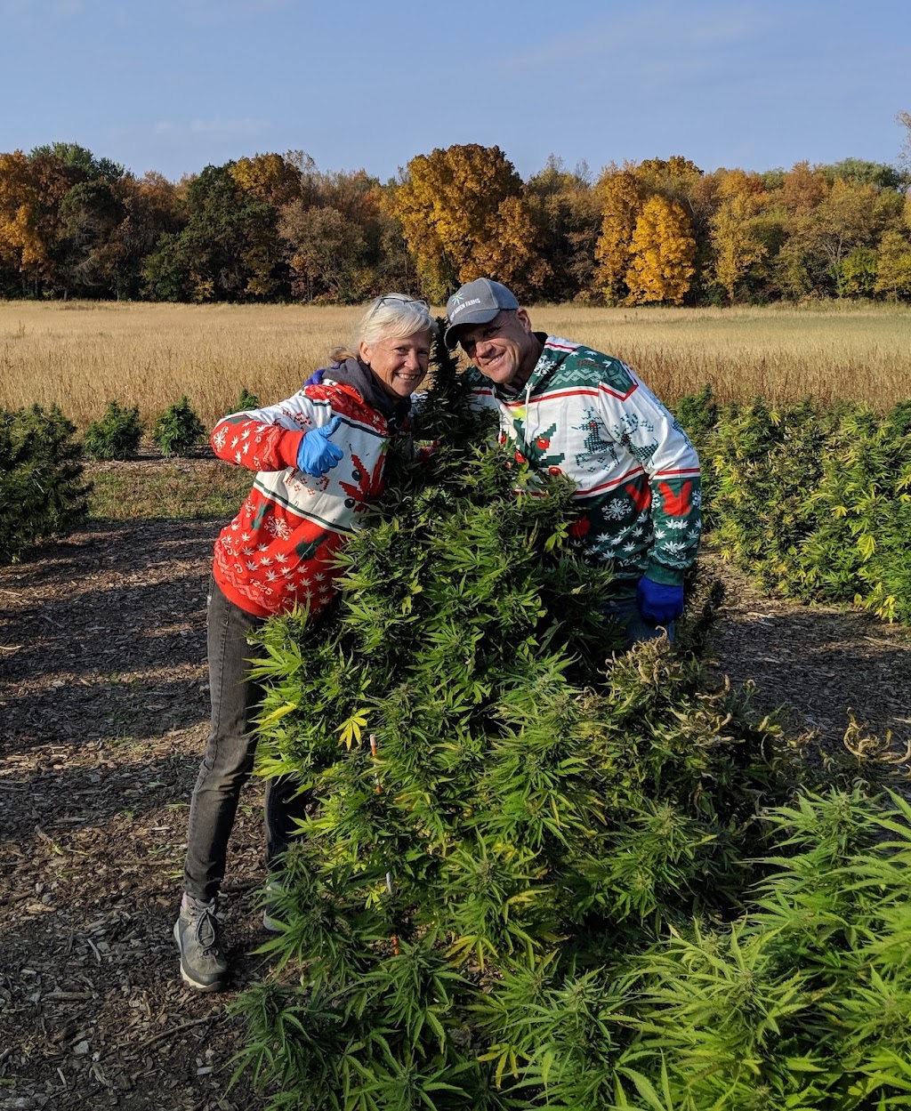 Hemp Haven Farms, LLC | 1506 Co Rd BB, Deerfield, WI 53531, USA | Phone: (608) 358-0709