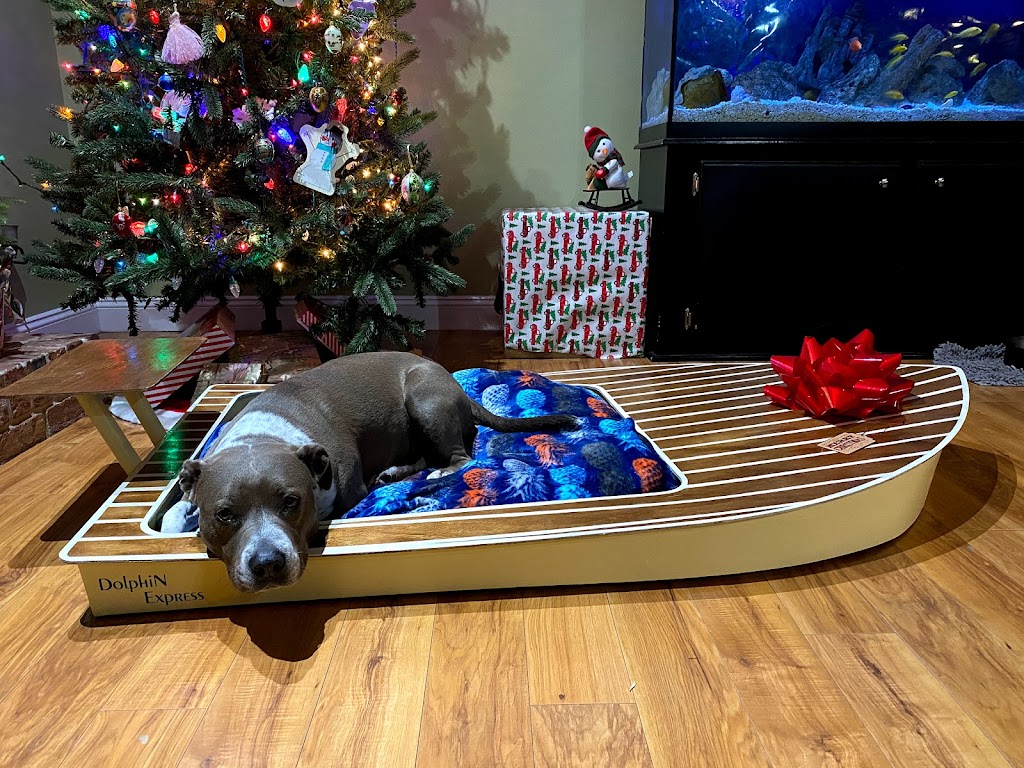 Nauti dog beds | 1020 E DeCarlo Dr, Deltona, FL 32725, USA | Phone: (386) 747-8883