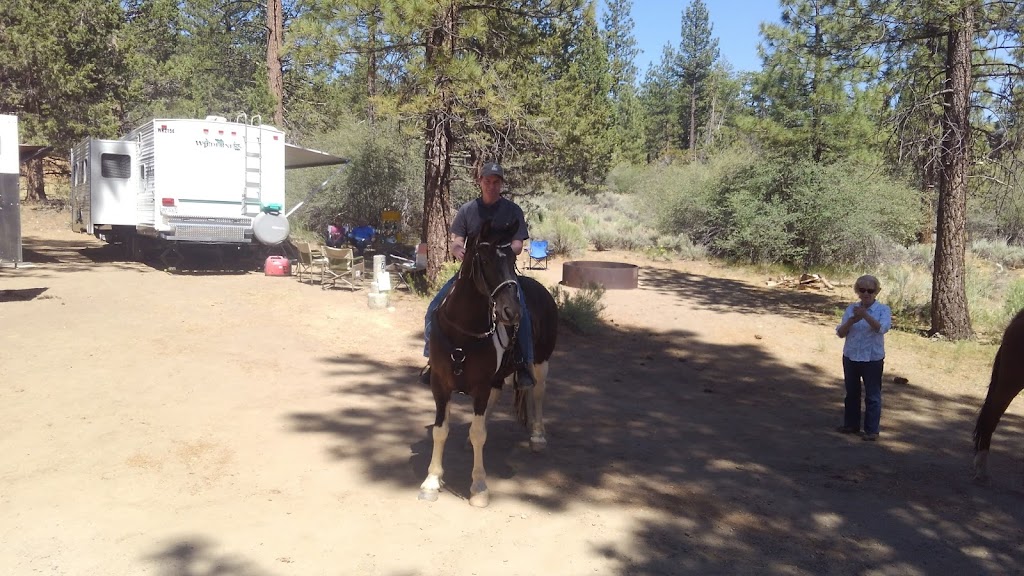 Wild Horse Equestrian Campground | 46620 CA-38, Angelus Oaks, CA 92305, USA | Phone: (877) 444-6777