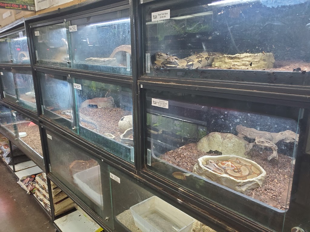 Reptile Island 3 | 7157 Katella Ave, Stanton, CA 90680, USA | Phone: (714) 761-1230