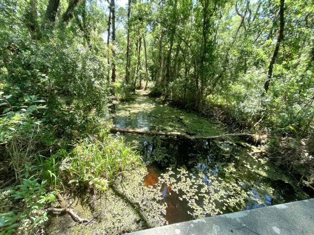 Brooker Creek Preserve & Environmental Education Center | 3940 Keystone Rd, Tarpon Springs, FL 34688, USA | Phone: (727) 453-6800